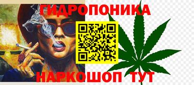 jwh Рыбинск