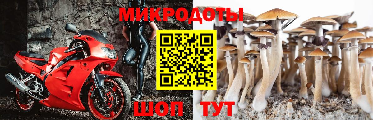 Псилоцибиновые грибы Magic Shrooms  Вход с VPN  Омск 
